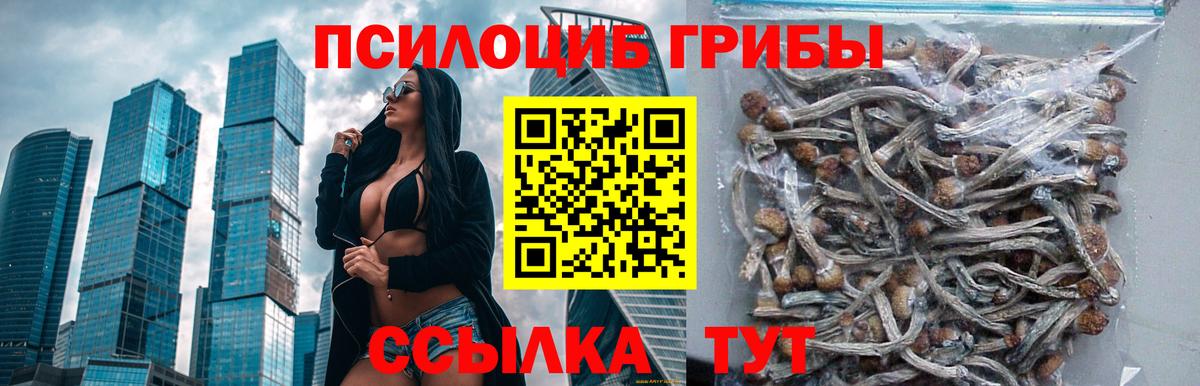 Галлюциногенные грибы Psilocybine cubensis Аша
