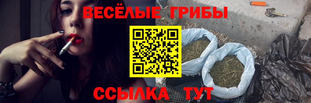 Псилоцибиновые грибы мухоморы  Вход с VPN  Аша 